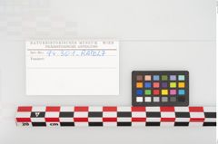 Etikett zu Eisenkonvolut (NHMW-PRAE-094301)